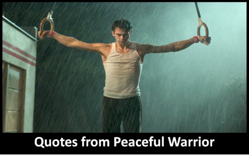 Quotes and sayings from Peaceful Warrior